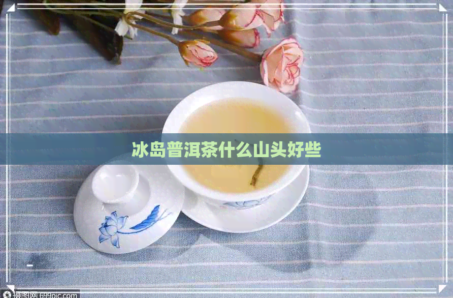 冰岛普洱茶什么山头好些