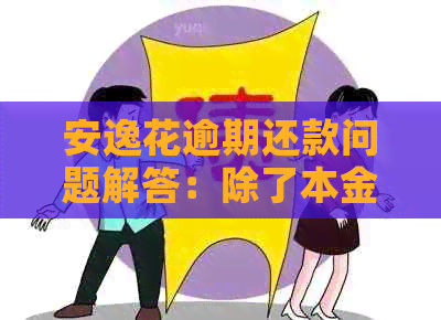 安逸花逾期还款问题解答：除了本金还能做什么？