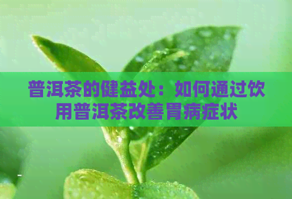 普洱茶的健益处：如何通过饮用普洱茶改善胃病症状