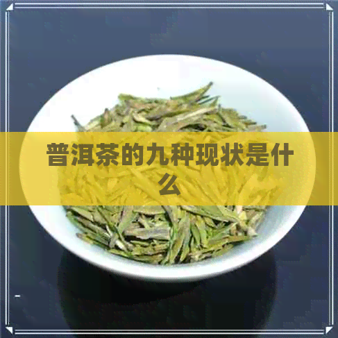 普洱茶的九种现状是什么