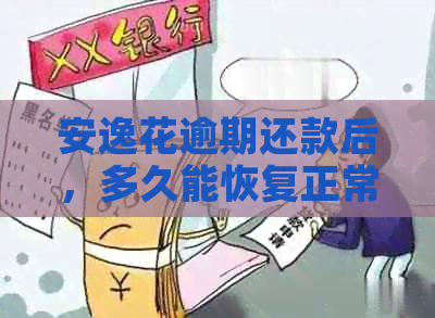 安逸花逾期还款后，多久能恢复正常借款及使用？