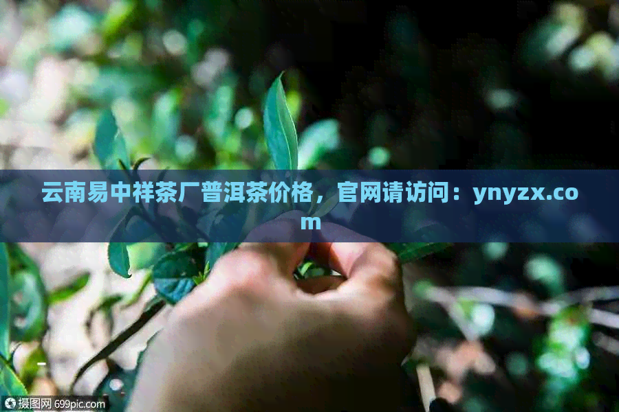 云南易中祥茶厂普洱茶价格，官网请访问：ynyzx.com