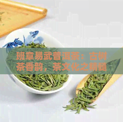 班章易武普洱茶：古树茶香韵，茶文化之精髓