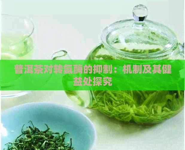 普洱茶对转氨酶的抑制：机制及其健益处探究