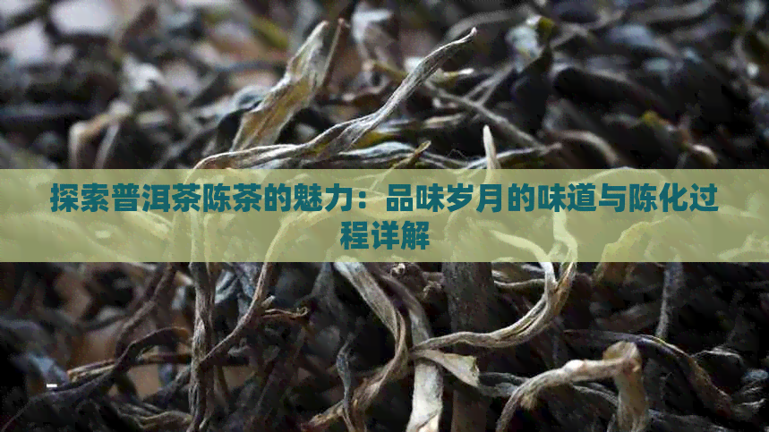 探索普洱茶陈茶的魅力：品味岁月的味道与陈化过程详解