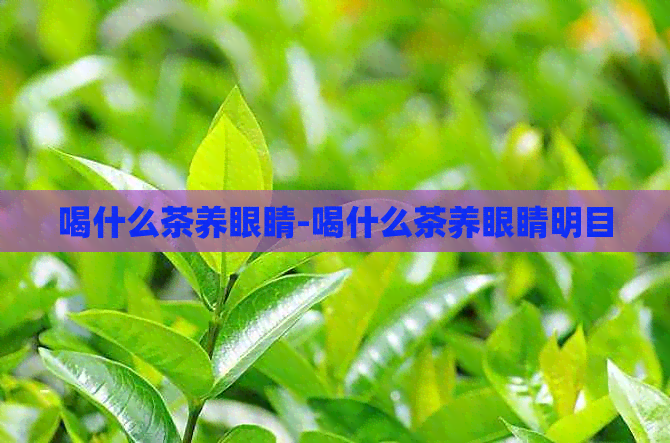 喝什么茶养眼睛-喝什么茶养眼睛明目