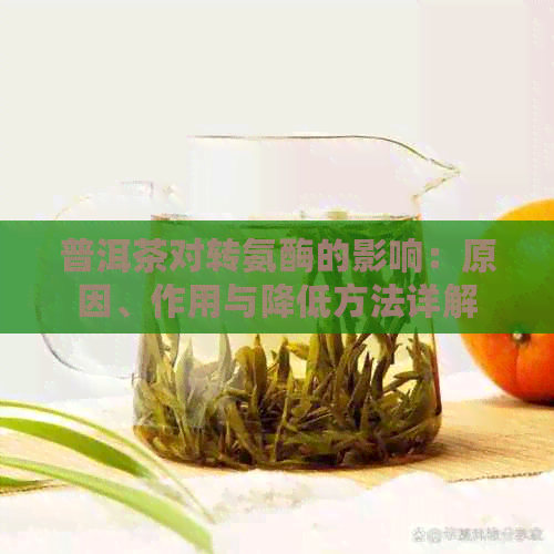 普洱茶对转氨酶的影响：原因、作用与降低方法详解