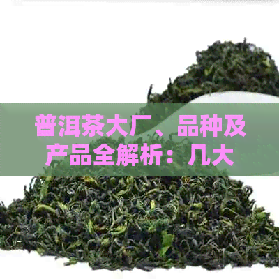 普洱茶大厂、品种及产品全解析：几大普洱茶厂与十大茶厂一览