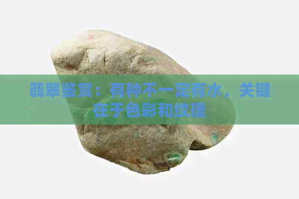 翡翠鉴赏：有种不一定有水，关键在于色彩和纹理