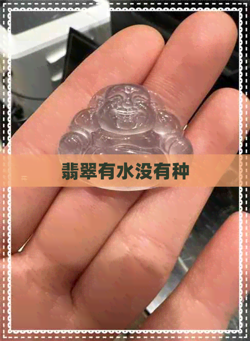 翡翠有水没有种