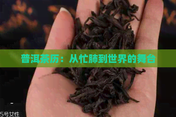 普洱茶历：从忙肺到世界的舞台