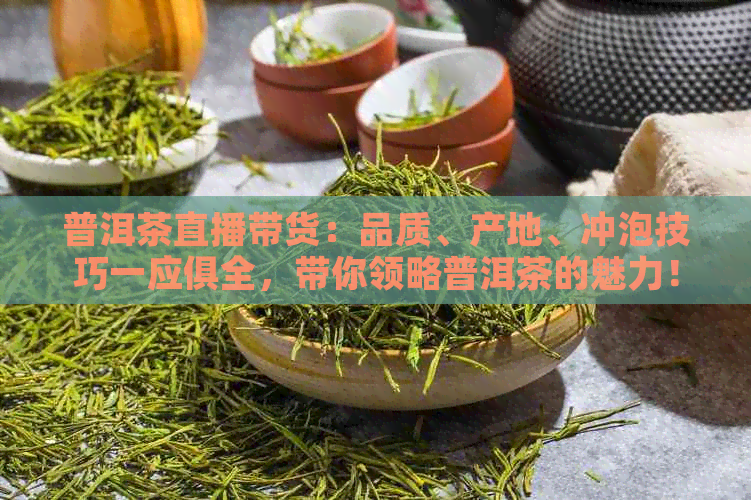 普洱茶直播带货：品质、产地、冲泡技巧一应俱全，带你领略普洱茶的魅力！