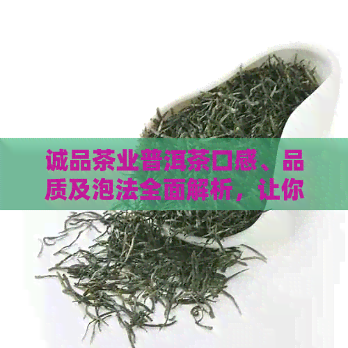 诚品茶业普洱茶口感、品质及泡法全面解析，让你喝出真正的好茶！