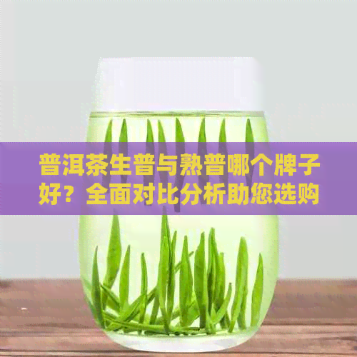 普洱茶生普与熟普哪个牌子好？全面对比分析助您选购优质茶叶