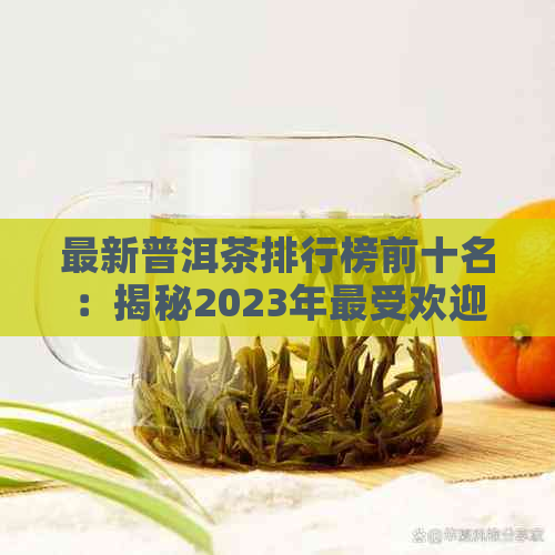 最新普洱茶排行榜前十名：揭秘2023年更受欢迎的十大茶叶