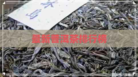 最新普洱茶排行榜