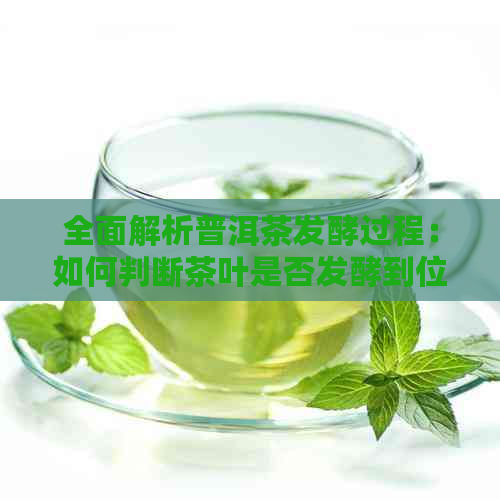 全面解析普洱茶发酵过程：如何判断茶叶是否发酵到位？-普洱茶 发酵程度