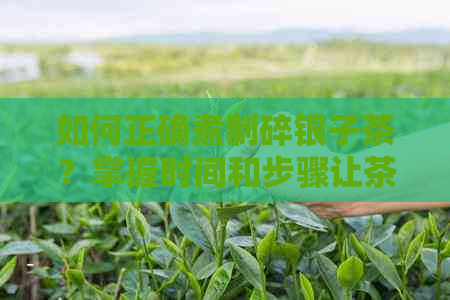 如何正确煮制碎银子茶？掌握时间和步骤让茶更好喝