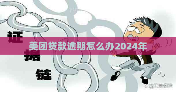 美团贷款逾期怎么办2024年