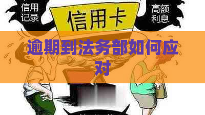 逾期到法务部如何应对