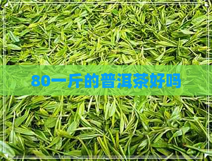 80一斤的普洱茶好吗