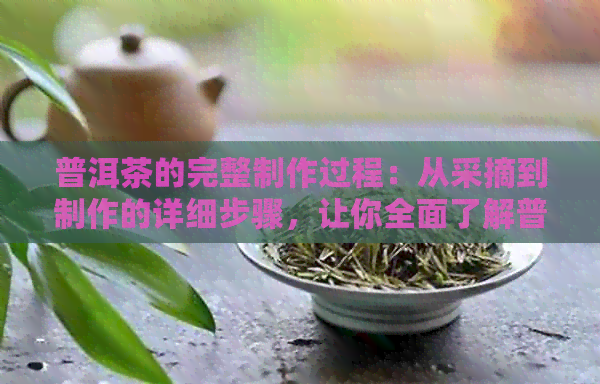 普洱茶的完整制作过程：从采摘到制作的详细步骤，让你全面了解普洱茶的诞生