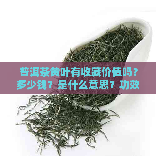 普洱茶黄叶有收藏价值吗？多少钱？是什么意思？功效是什么？