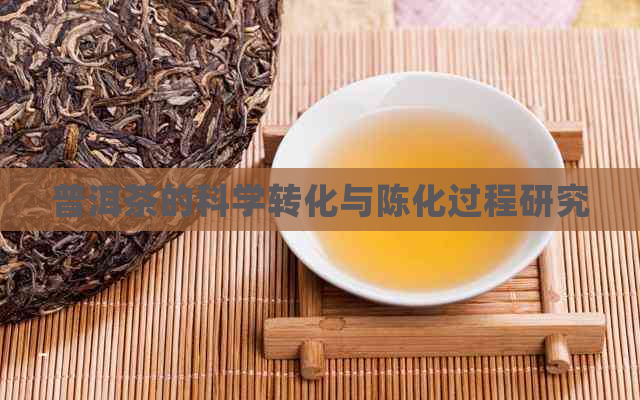 普洱茶的科学转化与陈化过程研究