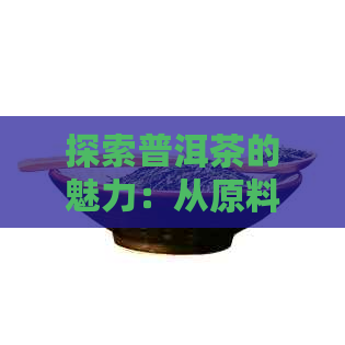 探索普洱茶的魅力：从原料到工艺，详解生茶制作过程