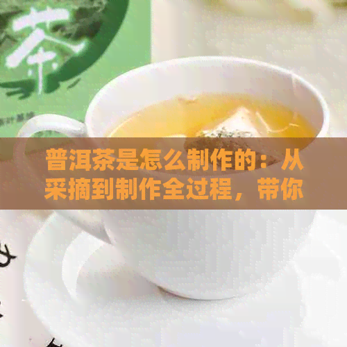 普洱茶是怎么制作的：从采摘到制作全过程，带你了解普洱茶的奇妙之旅