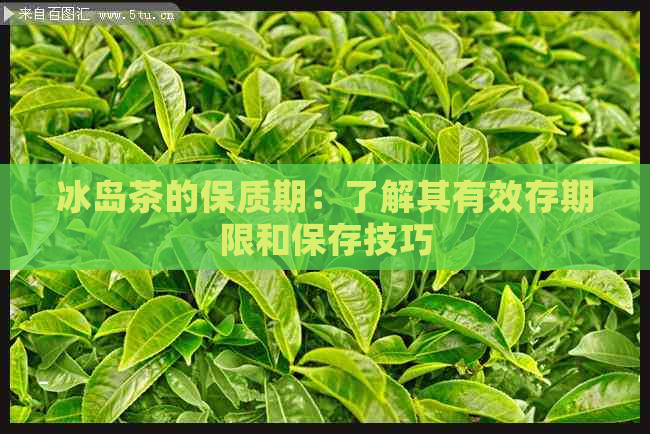 冰岛茶的保质期：了解其有效存期限和保存技巧