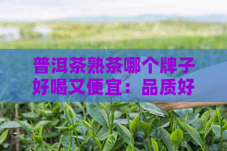 普洱茶熟茶哪个牌子好喝又便宜：品质好的普洱茶熟茶推荐