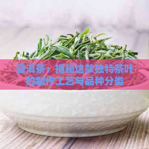 普洱茶：揭秘这款独特茶叶的制作工艺与品种分类