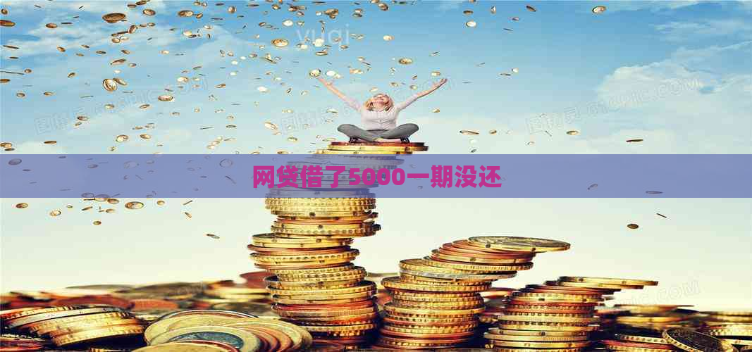 网贷借了5000一期没还