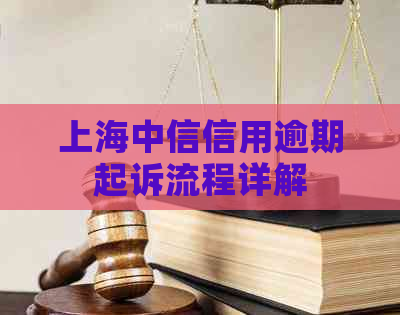 上海中信信用逾期起诉流程详解