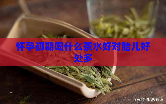 怀孕初期喝什么茶水好对胎儿好处多