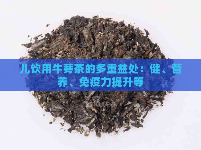 儿饮用牛蒡茶的多重益处：健、营养、免疫力提升等