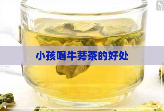 小孩喝牛蒡茶的好处