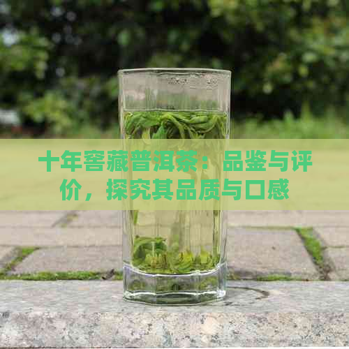 十年窖藏普洱茶：品鉴与评价，探究其品质与口感