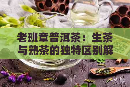 老班章普洱茶：生茶与熟茶的独特区别解析