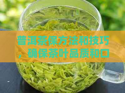 普洱茶保方法和技巧，确保茶叶品质和口感