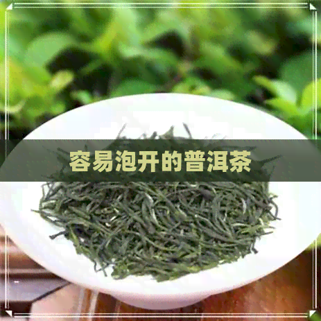 容易泡开的普洱茶