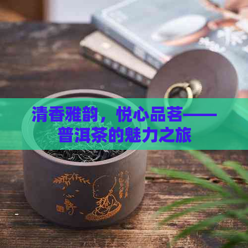 清香雅韵，悦心品茗——普洱茶的魅力之旅