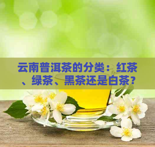 云南普洱茶的分类：红茶、绿茶、黑茶还是白茶？