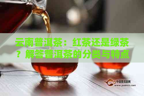 云南普洱茶：红茶还是绿茶？解答普洱茶的分类与特点