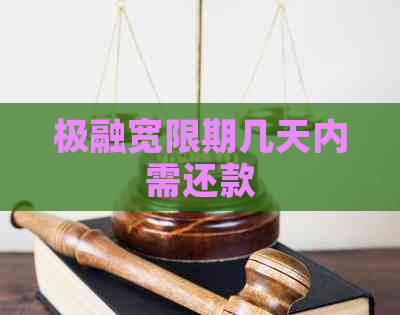 极融宽限期几天内需还款