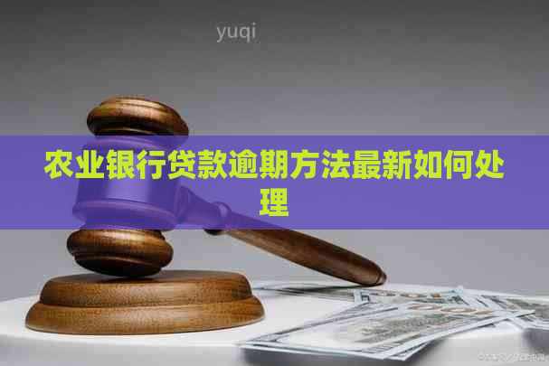 农业银行贷款逾期方法最新如何处理