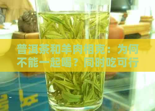 普洱茶和羊肉相克：为何不能一起喝？同时吃可行吗？