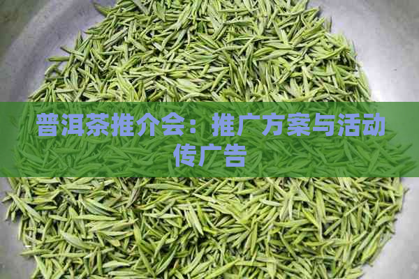 普洱茶推介会：推广方案与活动传广告