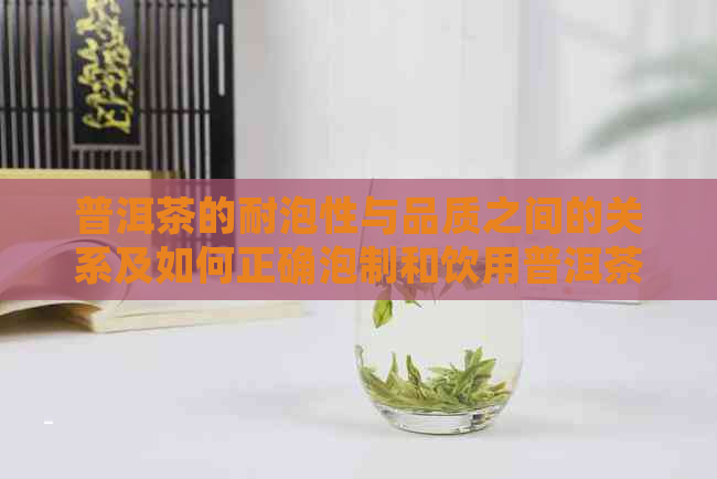 普洱茶的耐泡性与品质之间的关系及如何正确泡制和饮用普洱茶